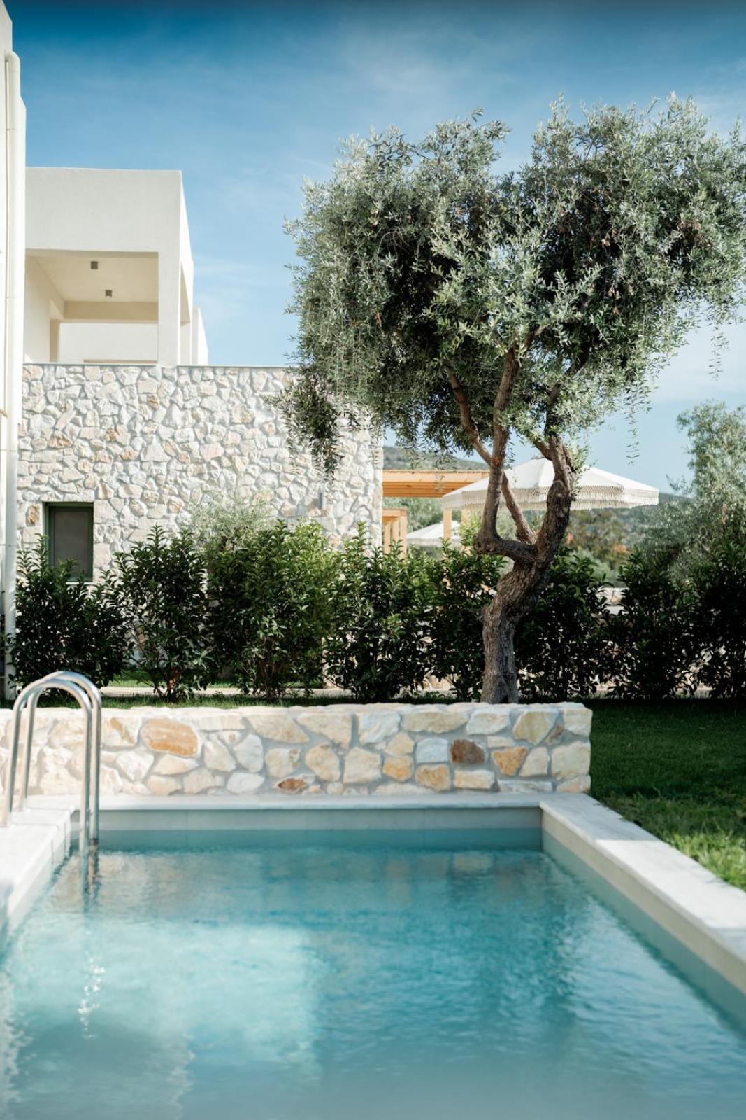 Magnolia Villas Potos Thassos Exteriér fotografie