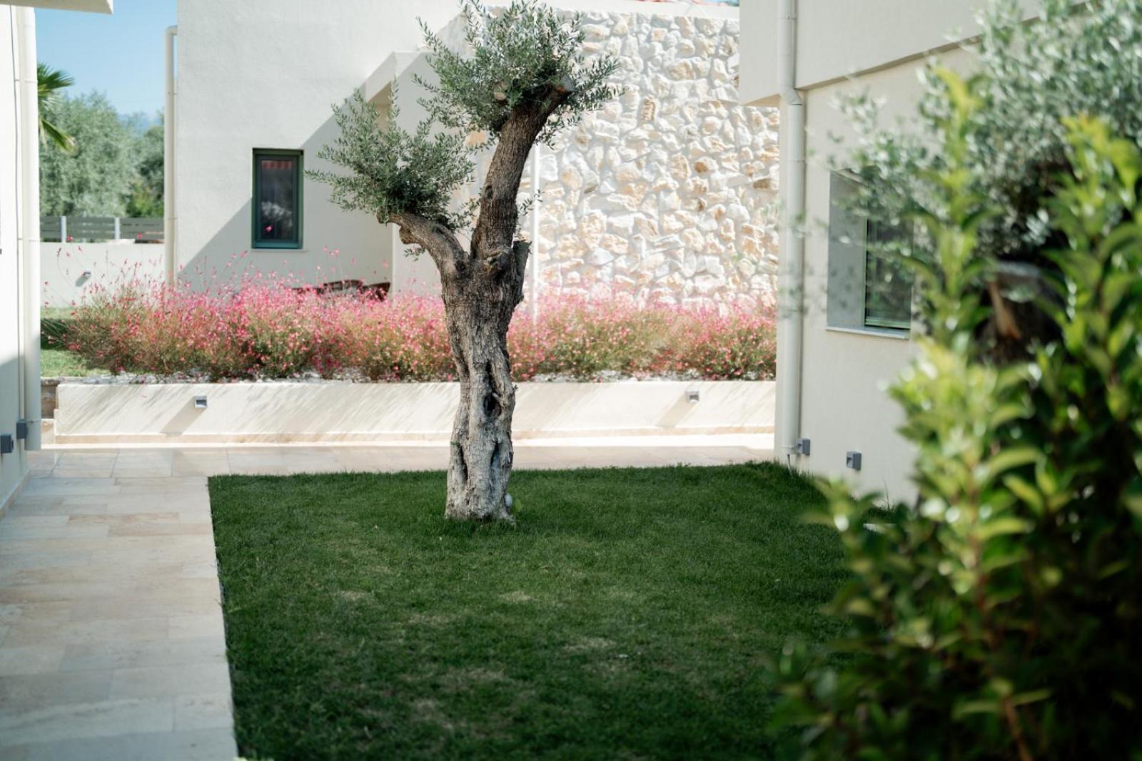 Magnolia Villas Potos Thassos Exteriér fotografie