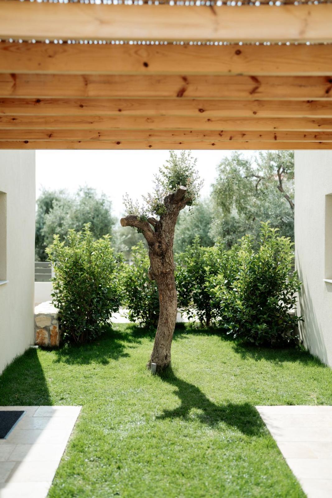 Magnolia Villas Potos Thassos Exteriér fotografie
